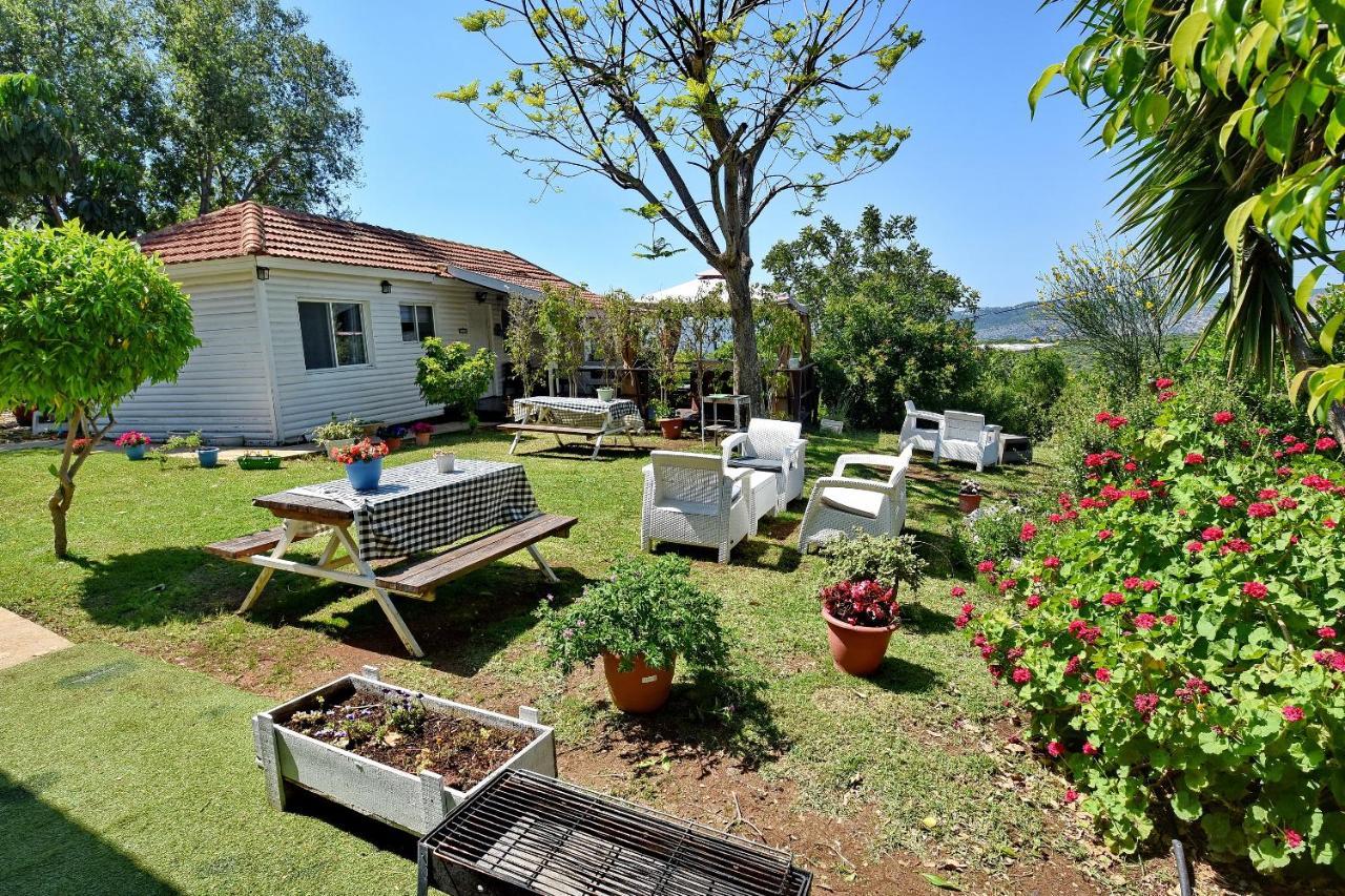 Biktot Nofim Villa Manot Esterno foto